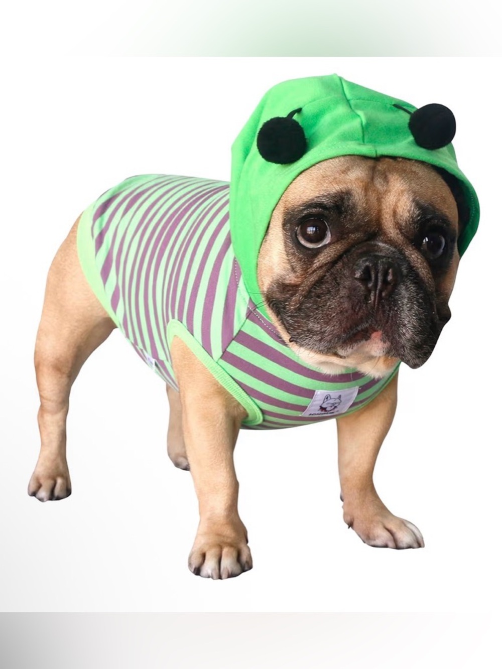 Green and Purple Striped Bumble Bee Dog Hoodie - Brand: ichoue